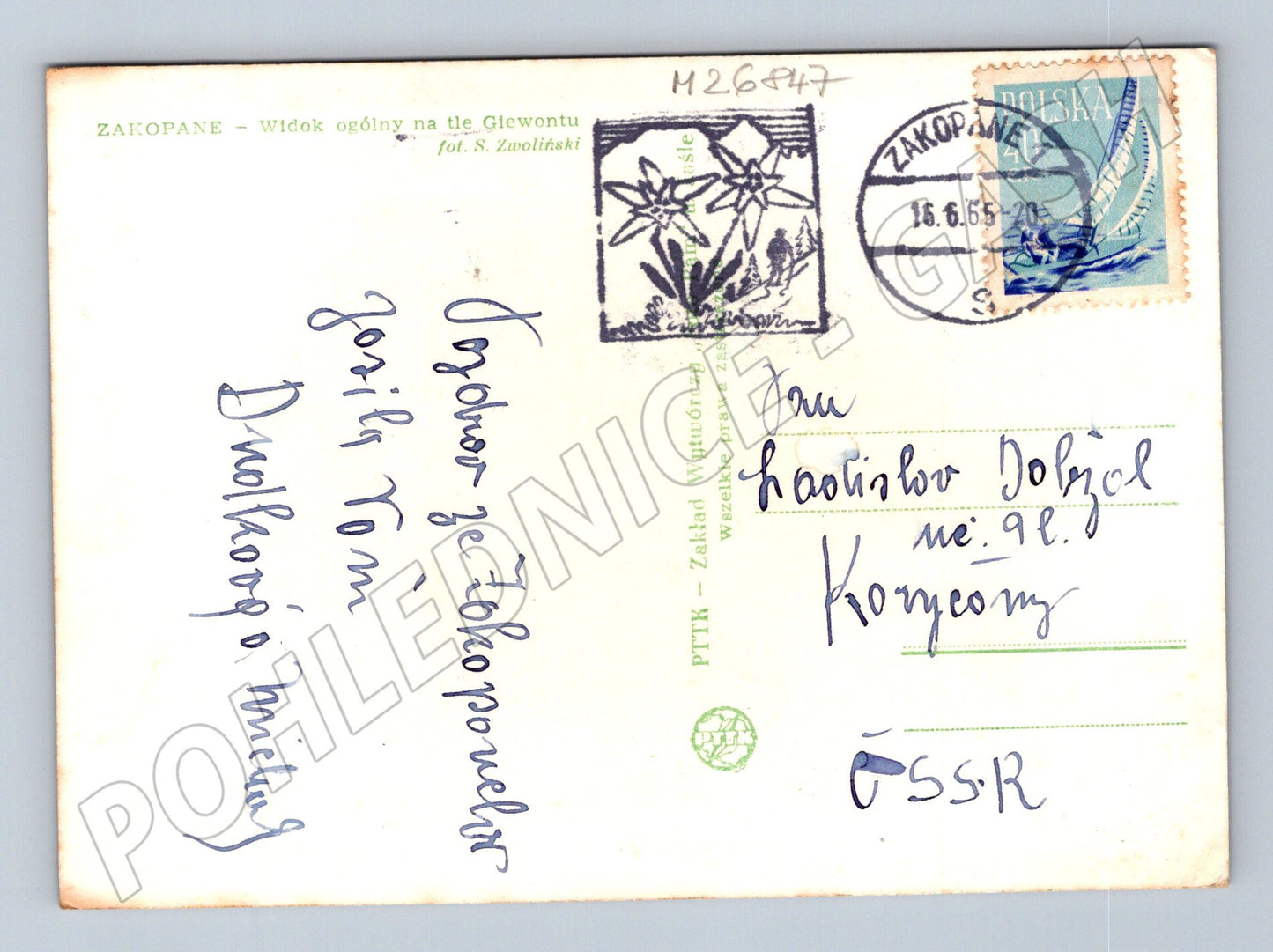 Pohlednice Polsko Zakopane s Giewontem 1955 (M26847)