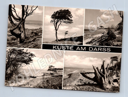 Pohlednice Německo Küste am Darss pobřeží 1973 (M26867)