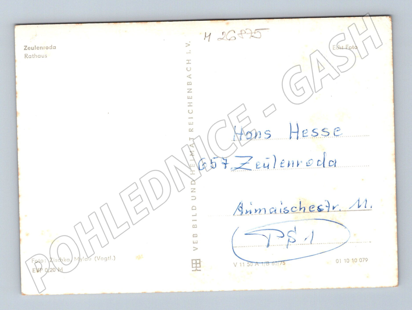 Pohlednice Německo Zeulenroda radnice (M26875)