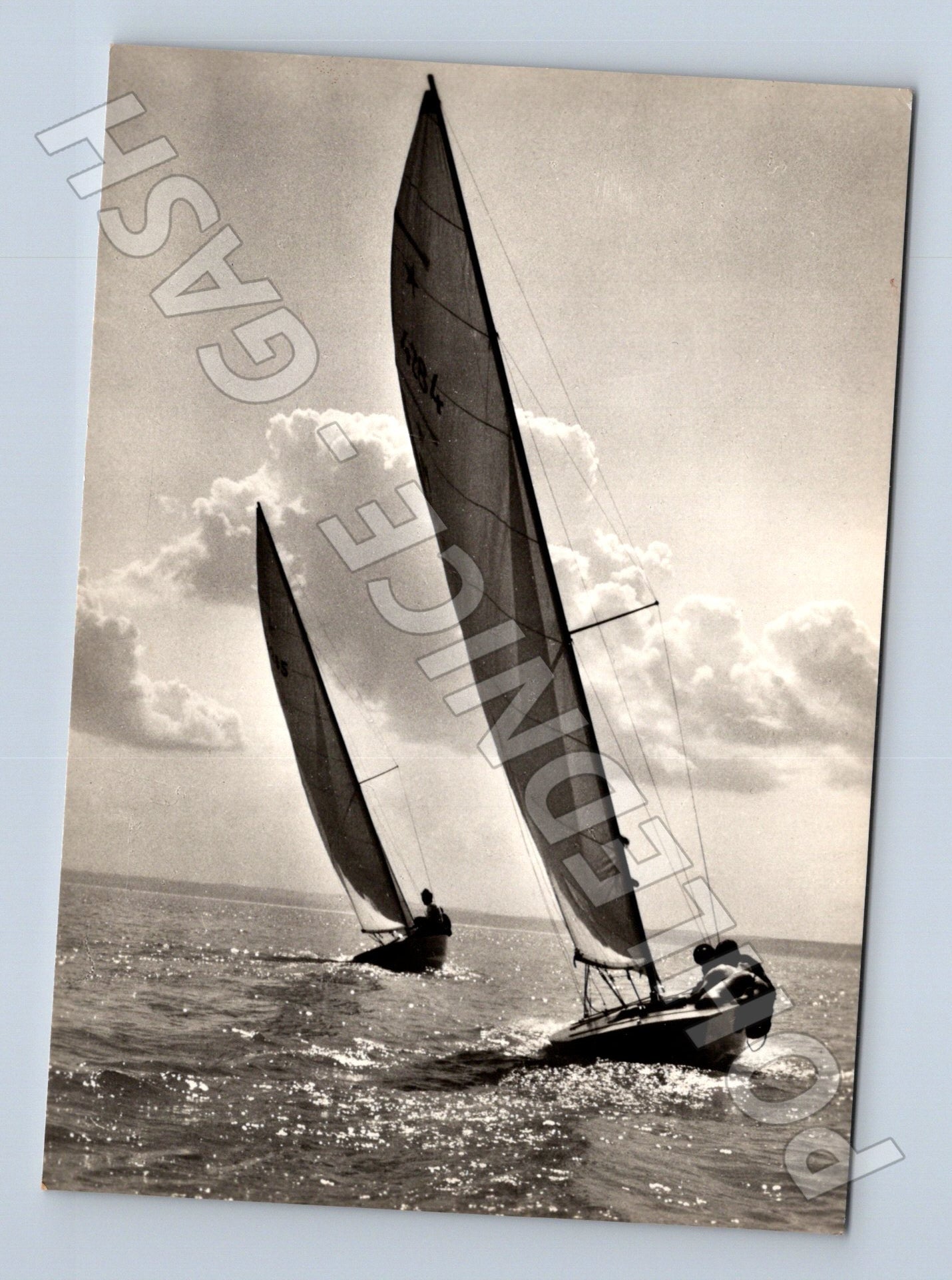 Pohlednice Maďarsko Balaton jachting (M26958)
