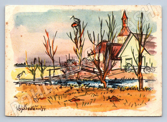 Postcard Vojtěch Sedláček countryside and storks 1955 (M2703)