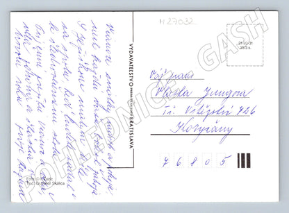 Pohlednice Vánoční/Novoroční motiv zvonky a jehličí (M27032)