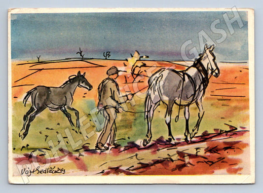 Postcard Vojtěch Sedláček drawing of horses (M2704)