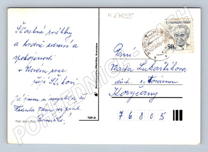 Pohlednice Vánoční svíčka jmelí 1979 (M27055)