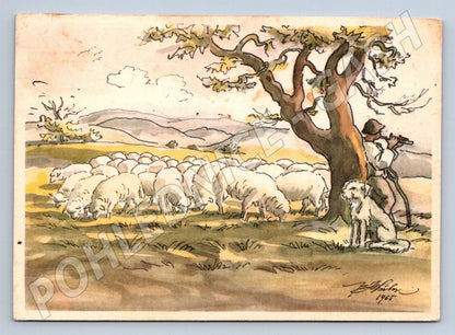 Postcard shepherd and flock 1968 (M2706)