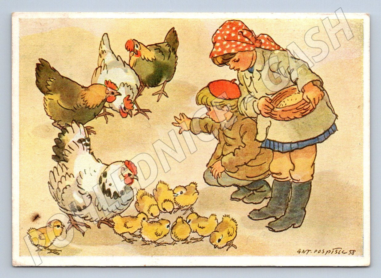 Postcard Antonín Pospíšil children and chickens 1958 (M2707)