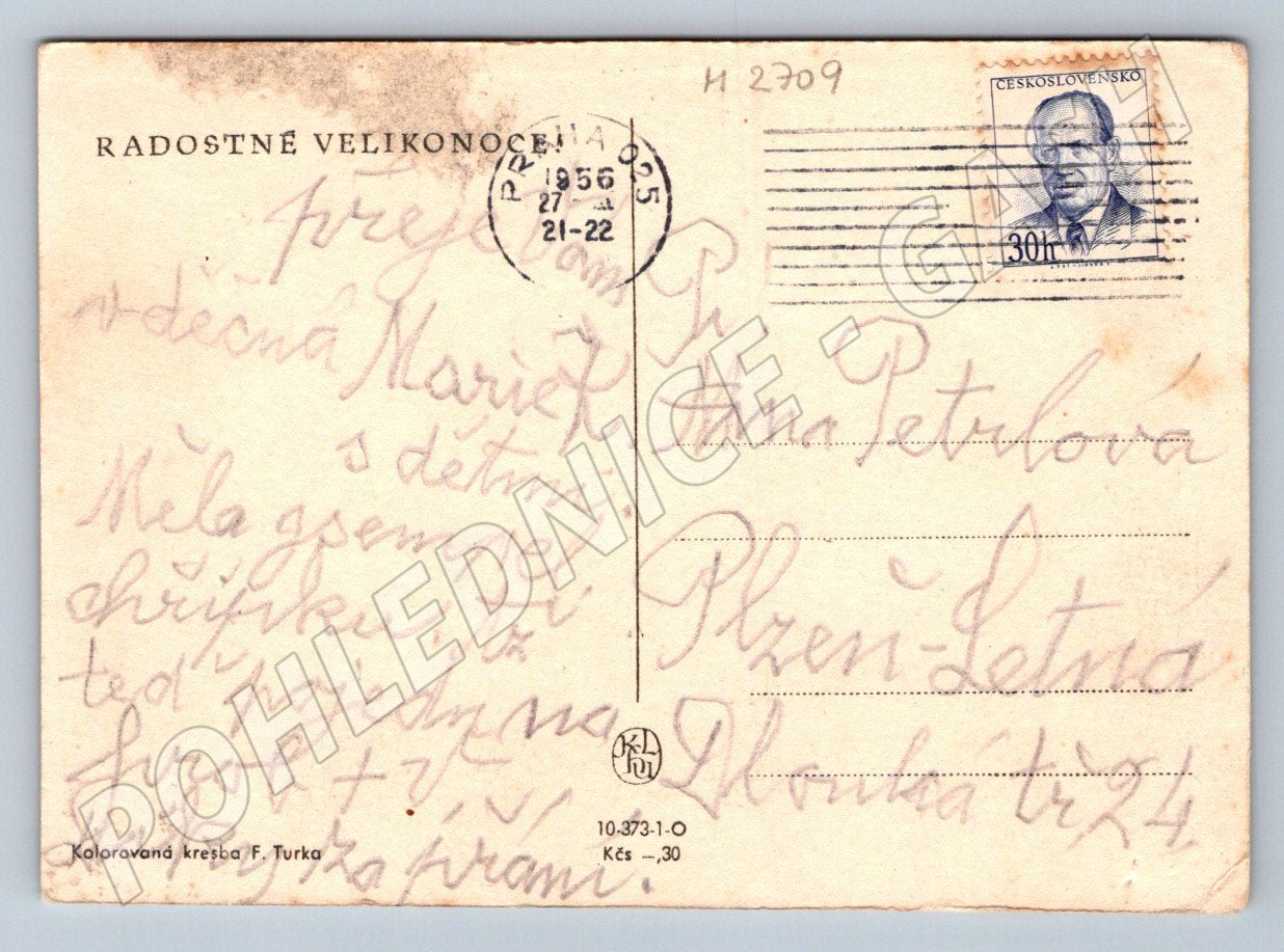 Postcard girl and geese ethnography 1956 (M2709)