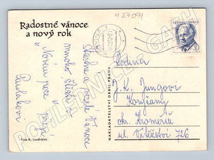 Pohlednice Vánoční zátiší s ovocem a vínem (M27091)