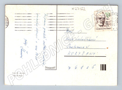 Pohlednice zátiší jablka ořechy svíčka 1990 (M27162)
