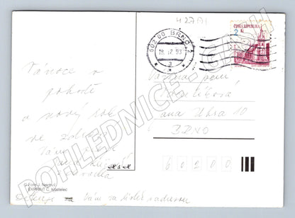 Pohlednice Vánoční přání s ozdobou 1993 (M27171)