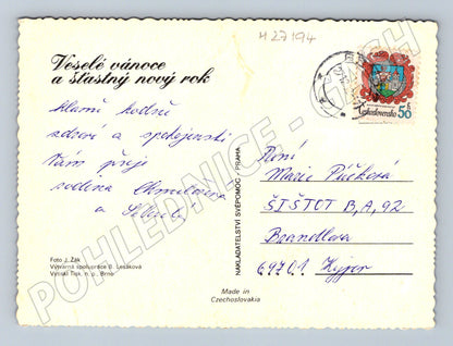 Pohlednice Vánoční motiv svícen a jehličí (M27194)