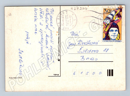 Pohlednice Vánoční motiv ořechy jablka 1974 (M27244)