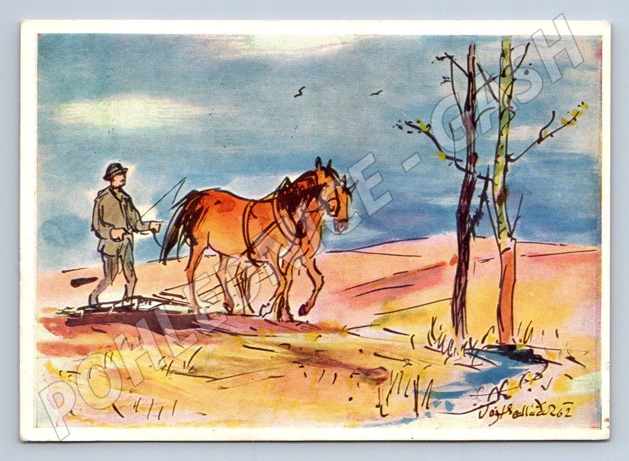 Pohlednice kůň Vojtěch Sedláček kolorovaná kresba (M2725)