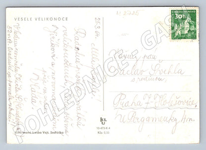 Pohlednice kůň Vojtěch Sedláček kolorovaná kresba (M2725)