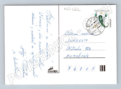 Pohlednice Vánoční zátiší s vánočkou 2008 (M27262)
