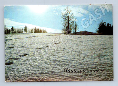 Pohlednice Vánoce zimní krajina cca 1970 (M27337)