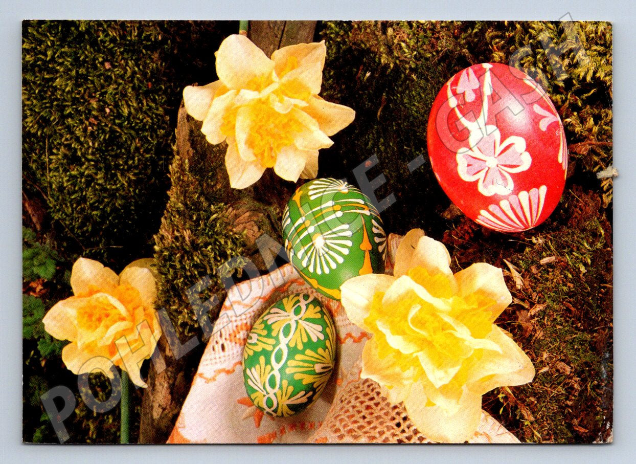 Pohlednice kraslice a narcisy etnografie (M2734)