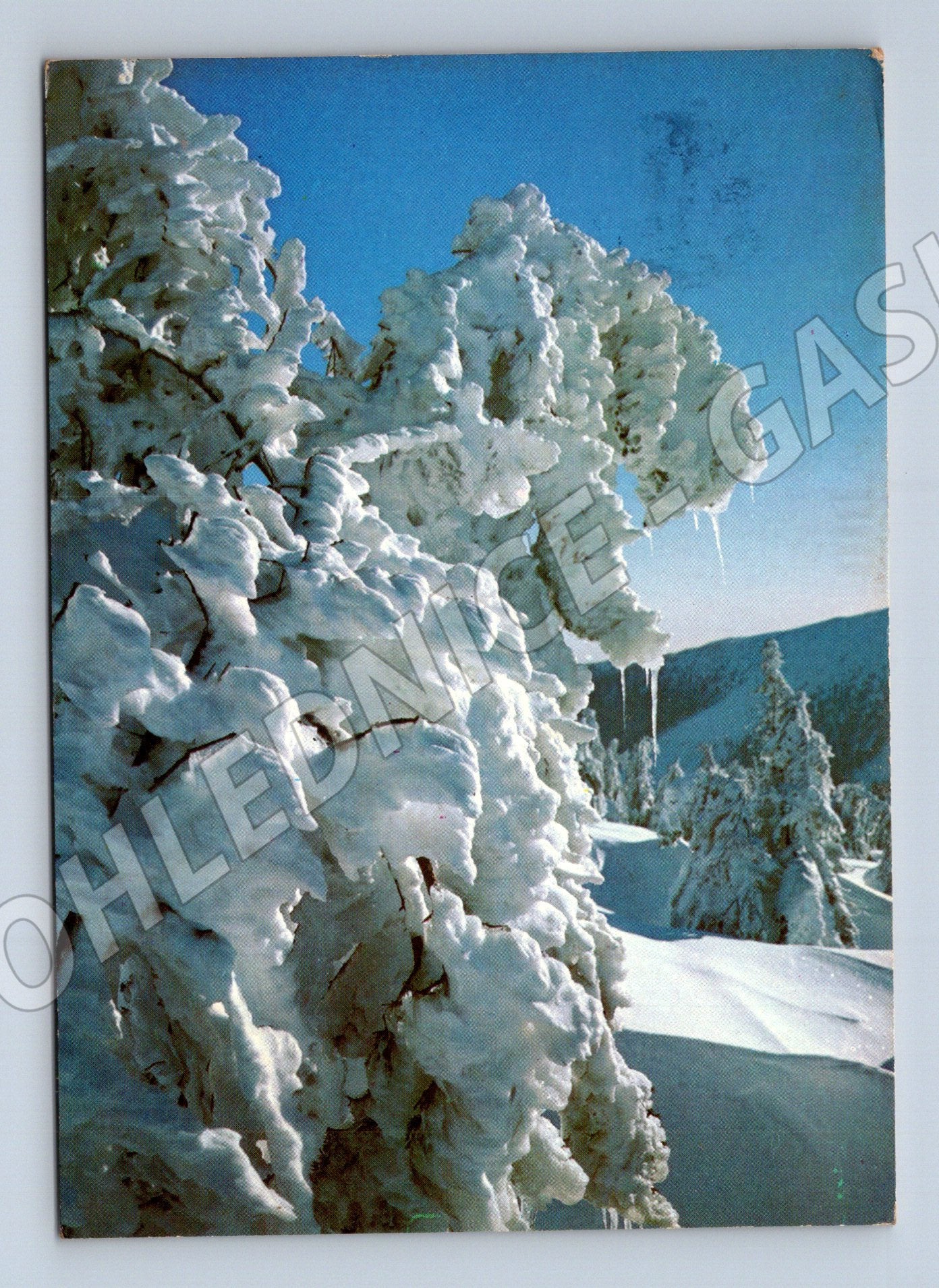 Pohlednice Zimní krajina zasněžené stromy 1973 (M27340)
