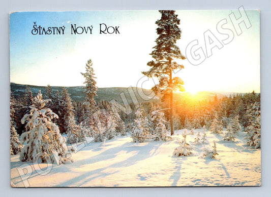 Pohlednice Šťastný Nový Rok zasněžená krajina (M27344)