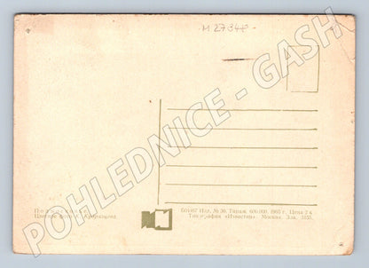 Pohlednice Rusko zasněžené stromy 1965 (M27348)