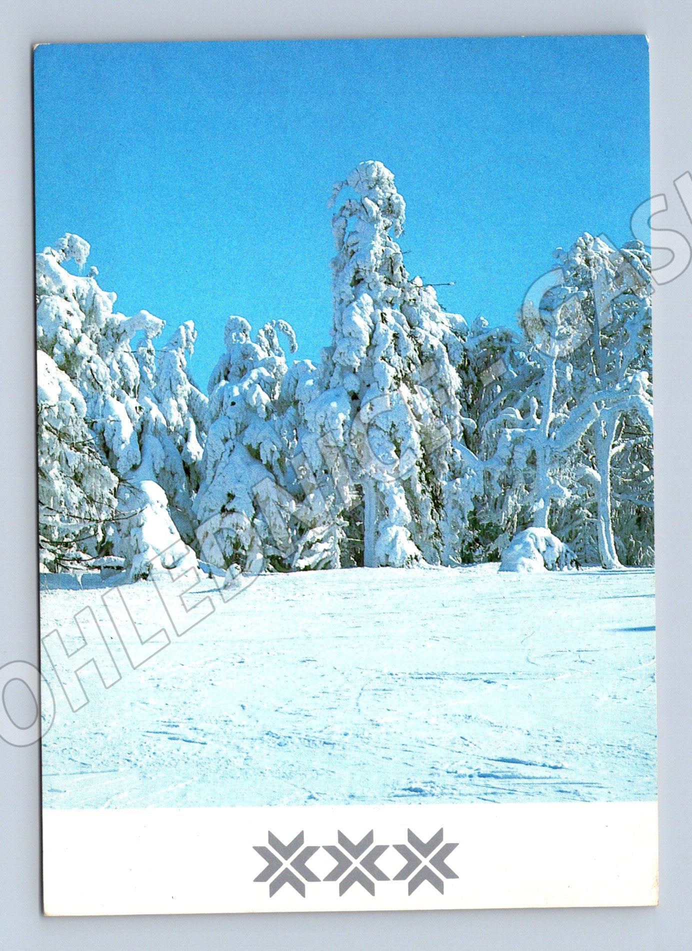 Pohlednice Zasněžené stromy zima 1989 (M27349)