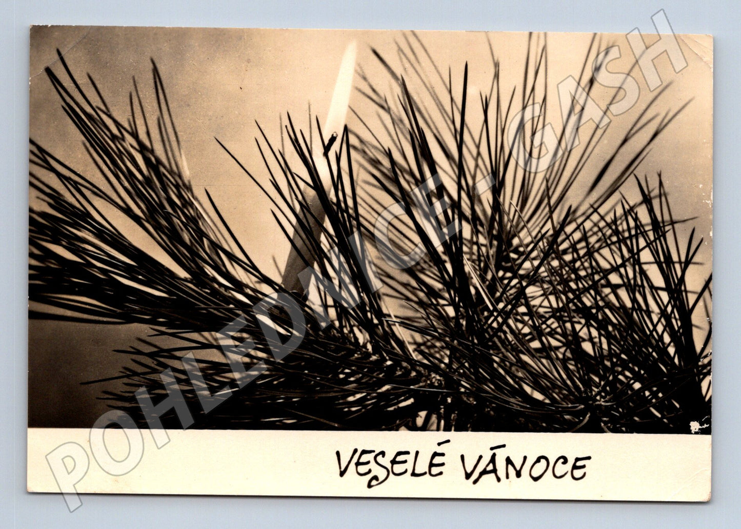 Pohlednice Vánoční borovicové jehličí a svíčka 1953 (M27374)