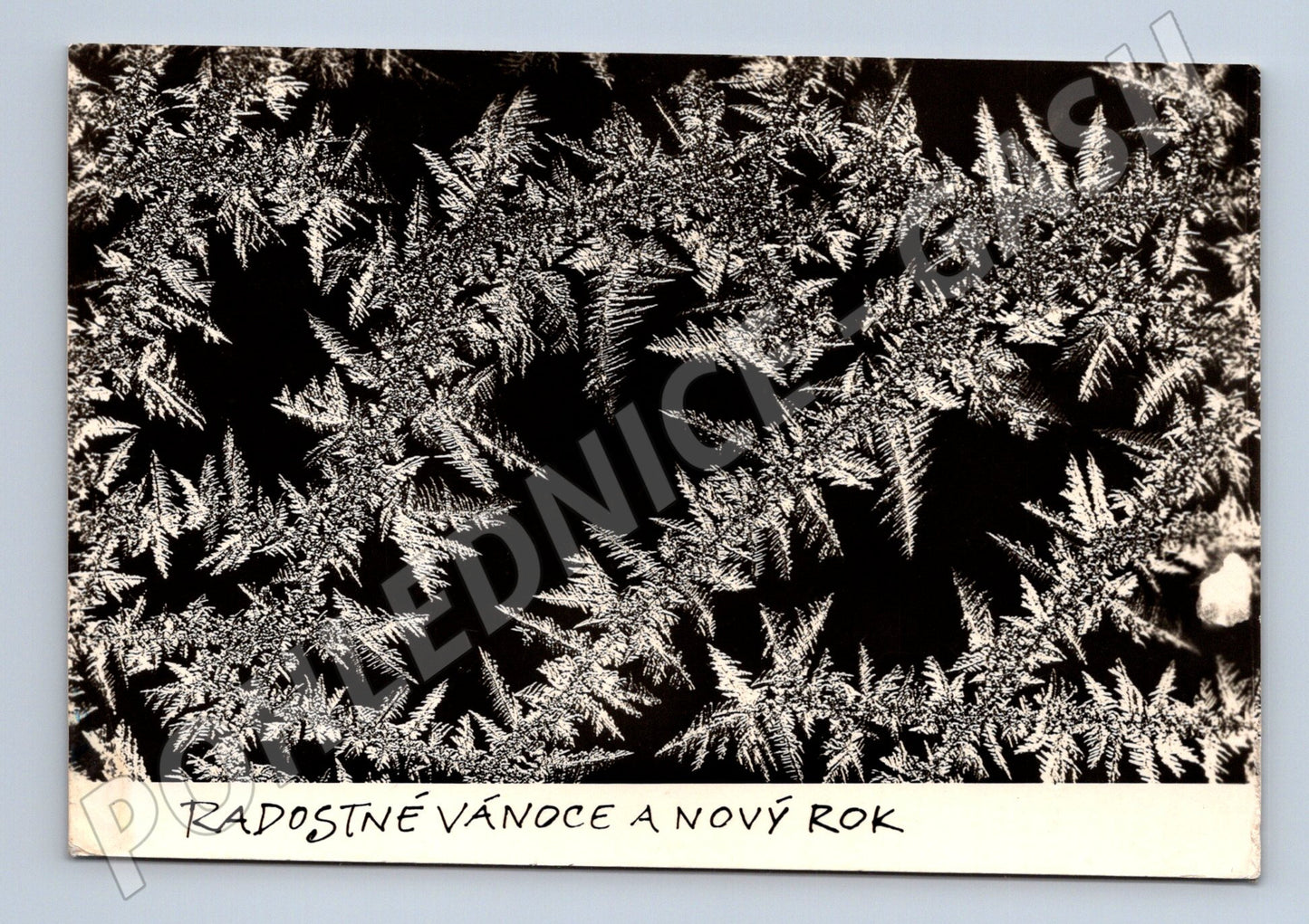 Pohlednice Vánoce a Nový rok námraza 1947 (M27382)