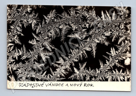 Pohlednice Vánoce a Nový rok námraza 1947 (M27382)