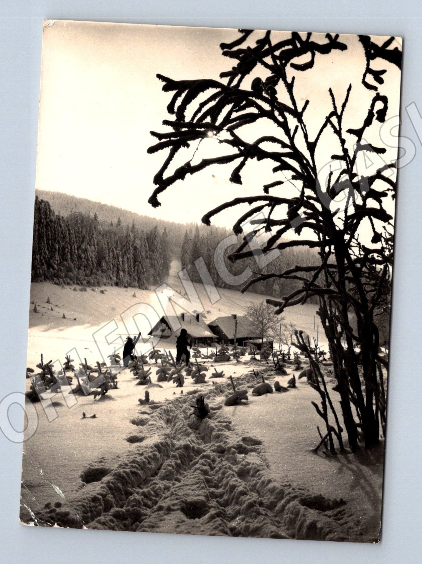 Pohlednice zimní krajina chalupa 1985 (M27384)