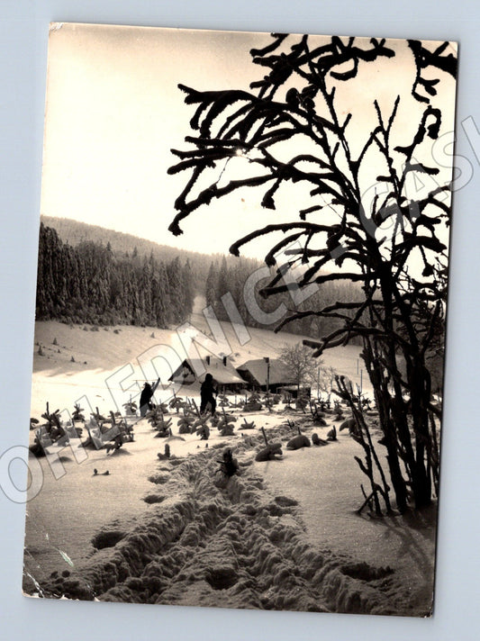 Pohlednice zimní krajina chalupa 1985 (M27384)