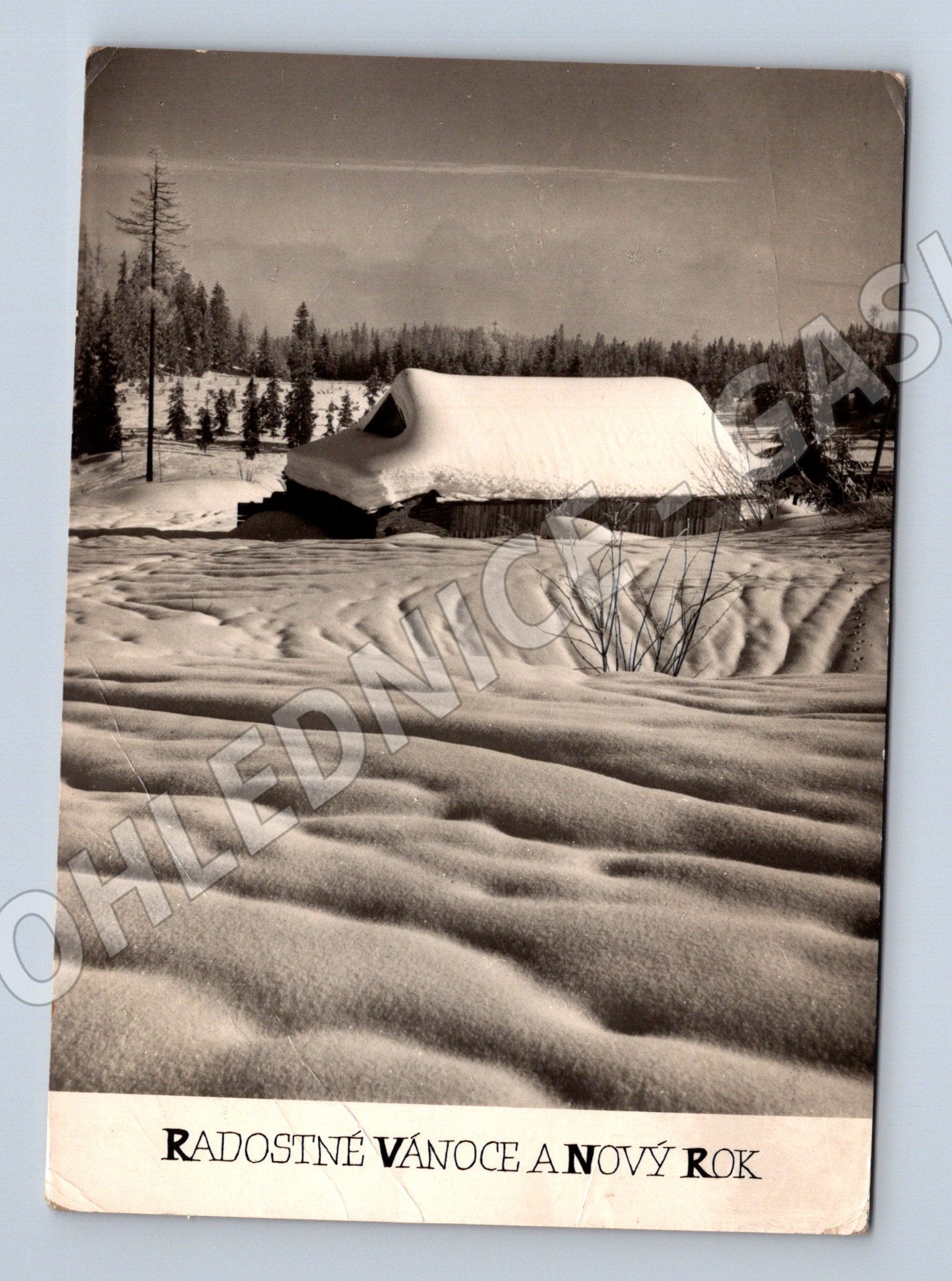 Pohlednice zimní krajina s textem Vánoce a Nový rok 1951 (M27386)