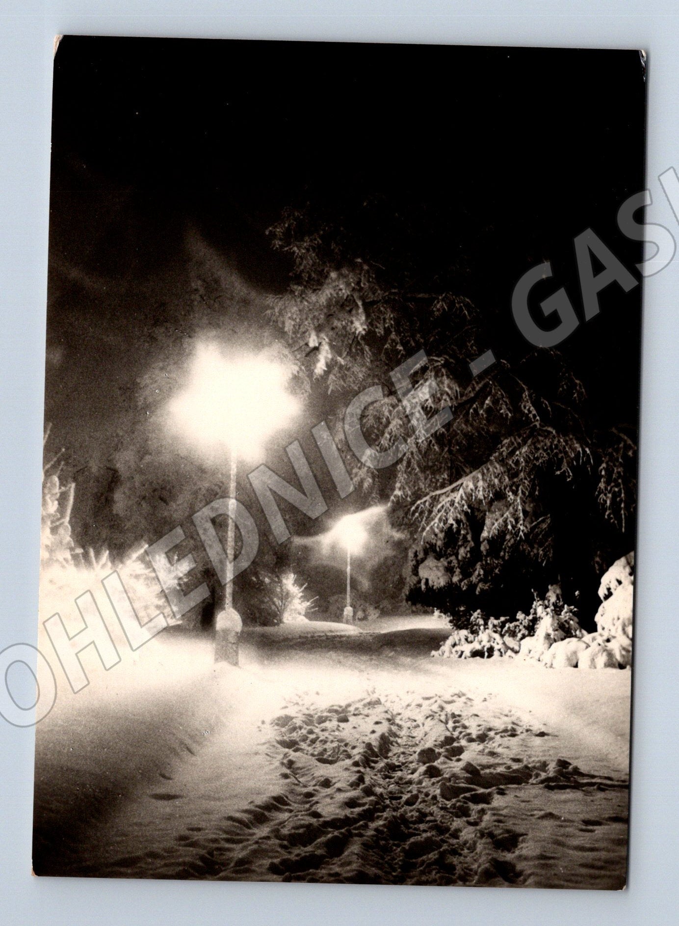 Pohlednice Praha zimní noc osvětlené stromy 1967 (M27387)