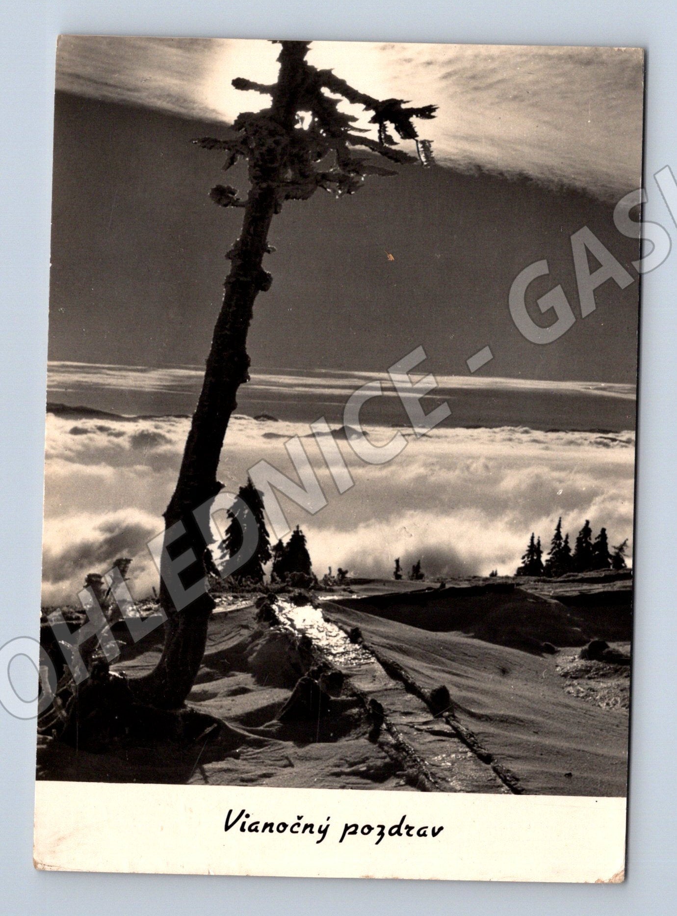 Pohlednice Slovensko Vánoční pozdrav Vážeč ~1950 (M27392)