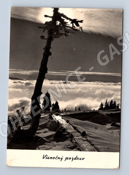 Pohlednice Slovensko Vánoční pozdrav Vážeč ~1950 (M27392)