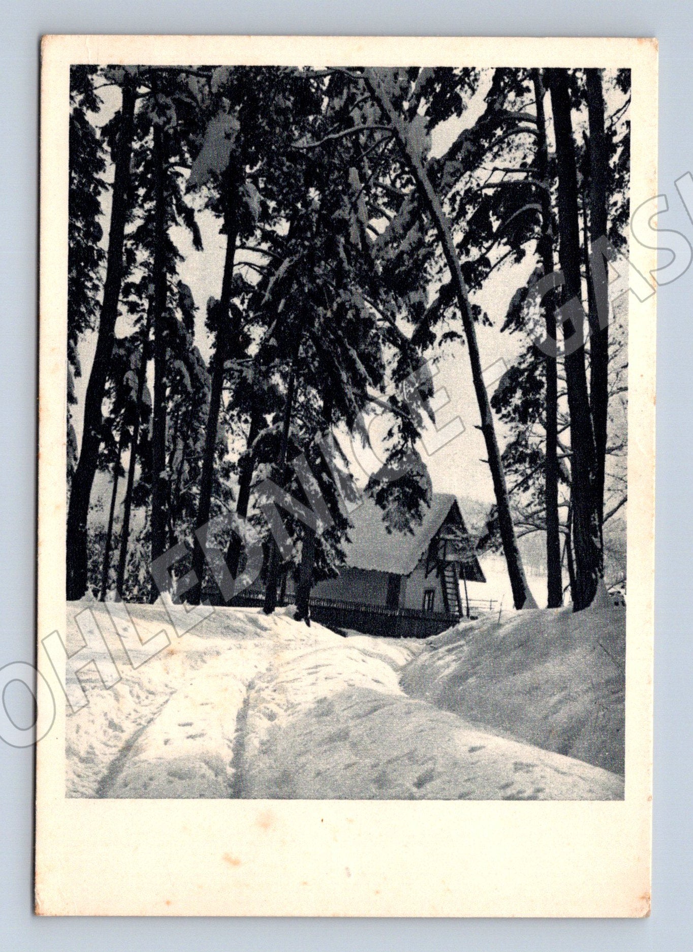 Pohlednice Pelhřimov okolí zimní krajina (M27398)