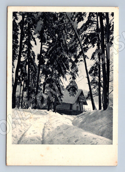 Pohlednice Pelhřimov okolí zimní krajina (M27398)