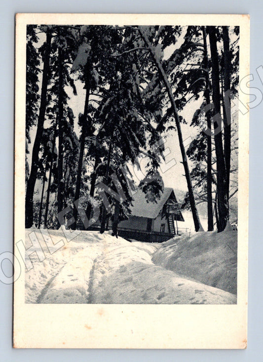 Pohlednice Pelhřimov okolí zimní krajina (M27398)