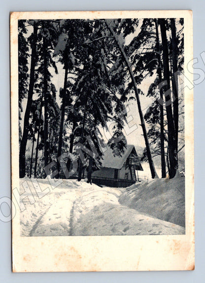 Pohlednice Stráž zimní krajina Vánoce 1939 (M27399)