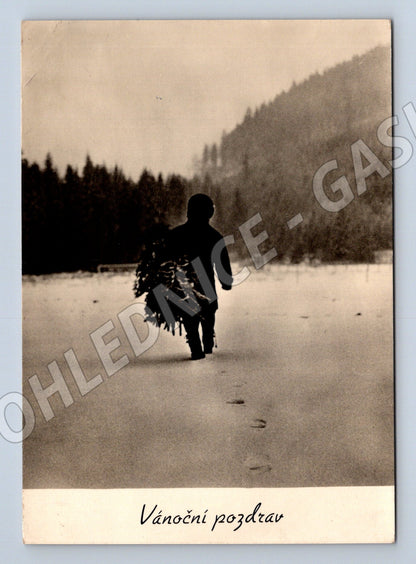 Pohlednice Vánoční pozdrav osoba s dřívím 1946 (M27406)