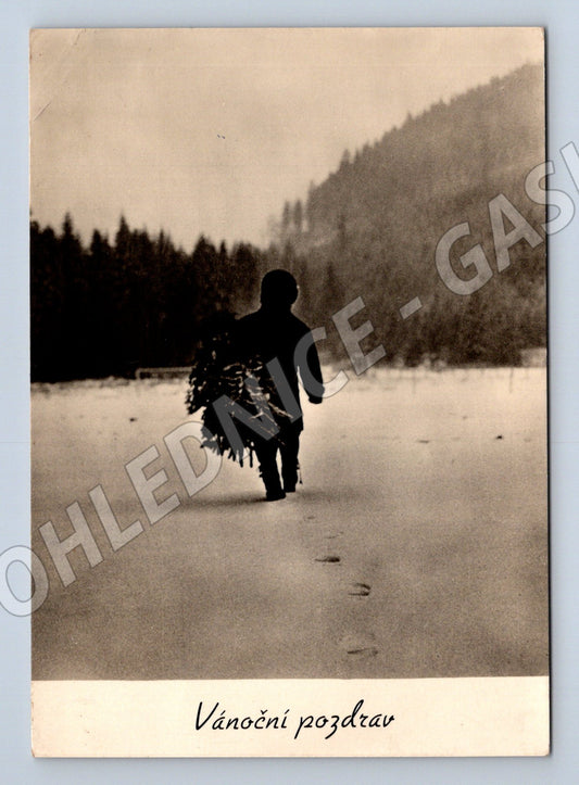 Pohlednice Vánoční pozdrav osoba s dřívím 1946 (M27406)