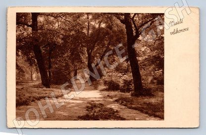 Pohlednice lesní cesta Velikonoce (M2745)