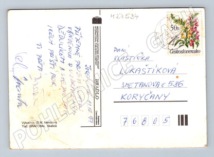 Pohlednice Vánoční děti v zimě 1997 (M27534)