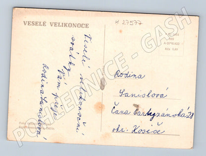 Pohlednice Velikonoce žluté narcisy (M27577)
