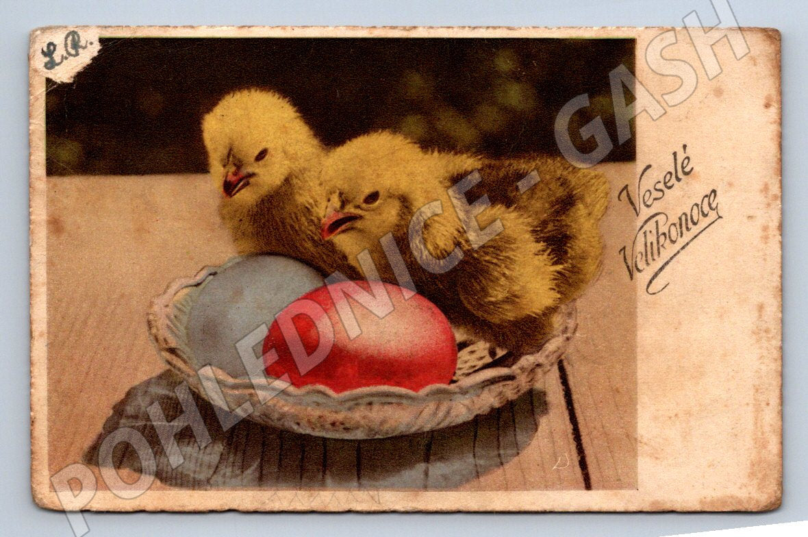 Happy Easter Chick Postcard (M2760)