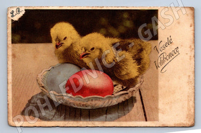 Happy Easter Chick Postcard (M2760)