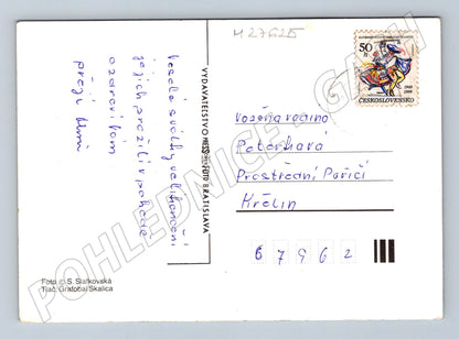 Pohlednice Velikonoční káčátka narcisy 1969 (M27625)