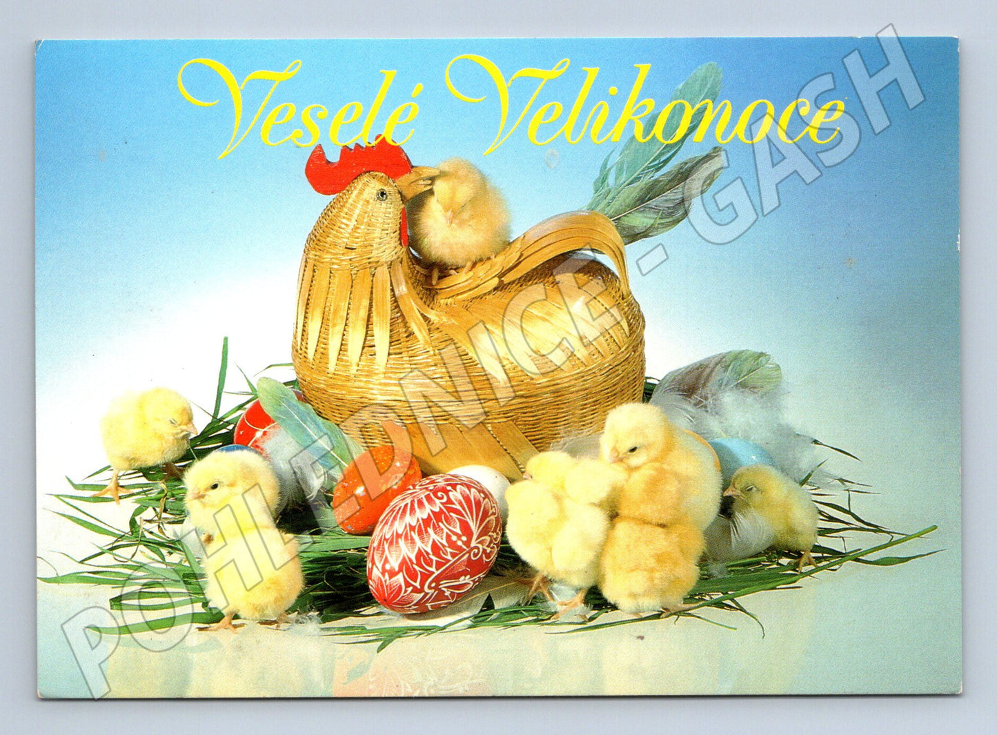 Pohlednice Velikonoce kuřátka košík (M27628)