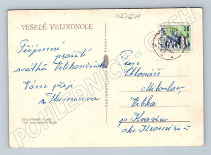 Pohlednice Velikonoční vajíčka sněženky (M27641)