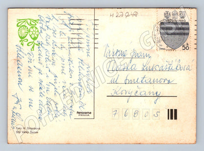 Pohlednice Velikonoční kočičky s vajíčky (M27648)
