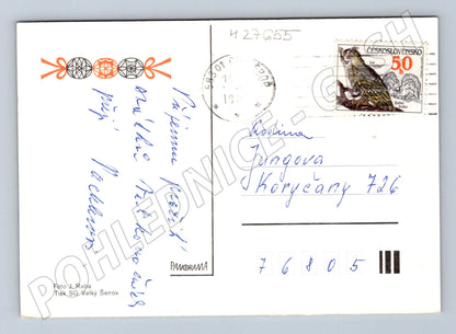 Pohlednice Velikonoční vajíčka kočičky 1980 (M27655)
